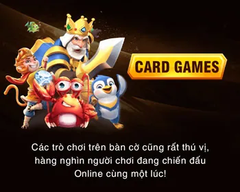 Chuyên viên hỗ trợ